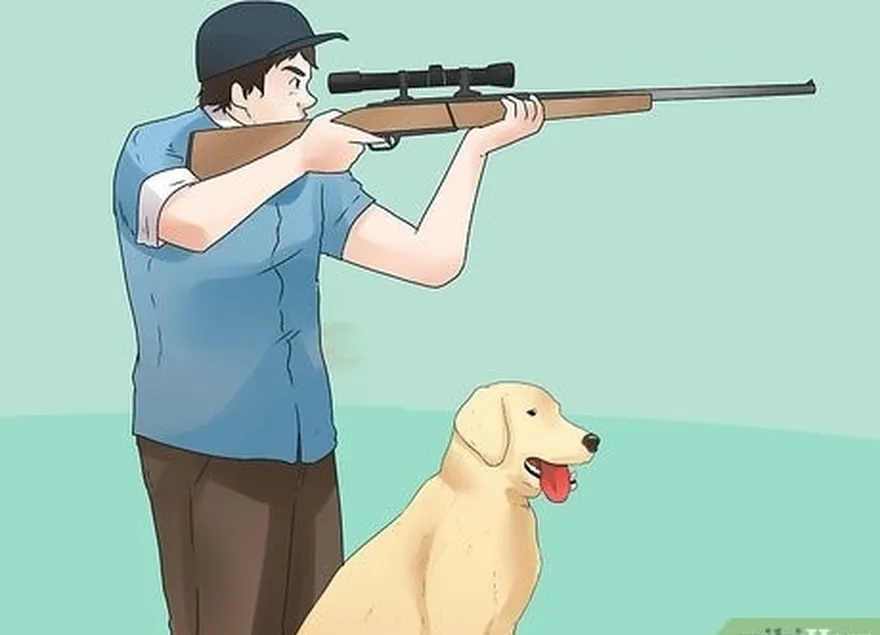 étape 8 exposez votre chien à des situations de chasse réelles avant de l'emmener sur le terrain.