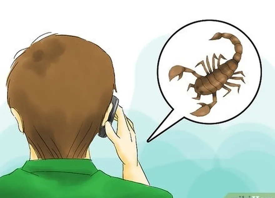 étape 4 décrivez le scorpion à l'assistance médicale par téléphone.