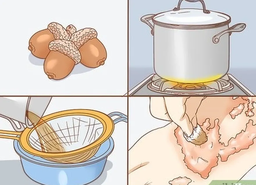 étape 4 essayez un bouillon de glands.