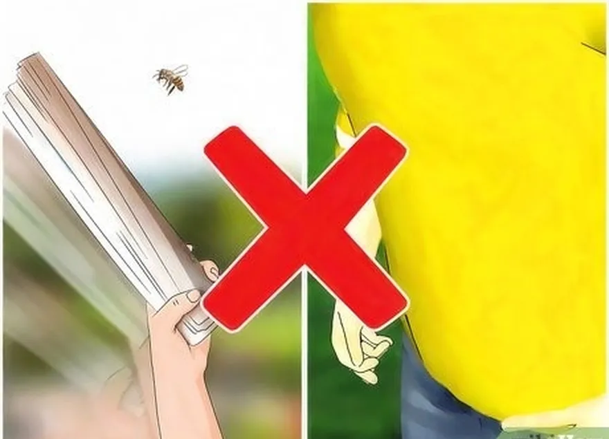 étape 3 évitez de provoquer les abeilles et les guêpes.