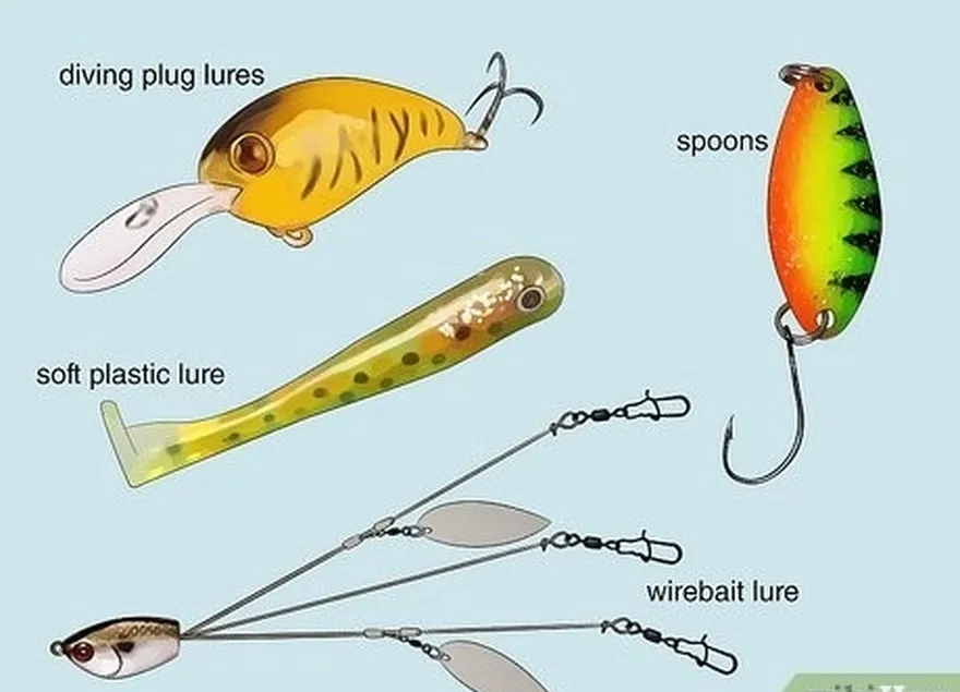 étape 4 comprendre l'utilisation de plusieurs types de leurres courants.
