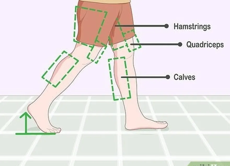 étape 2 utilisez vos mollets, vos ischio-jambiers et vos quadriceps pour marcher efficacement.