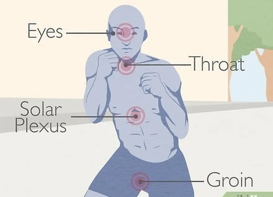 étape 5 viser les points faibles de l'adversaire's body.